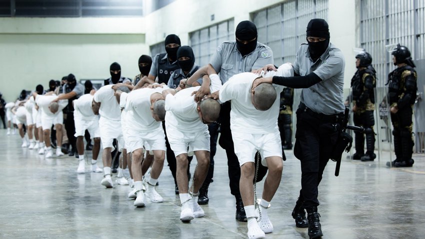 Fotografía cedida por la Presidencia de El Salvador de guardias del Centro de Confinamiento del Terrorismo (Cecot) trasladando a supuestos miembros de la banda criminal transnacional Tren de Aragua este domingo, en San Luis Talpa (El Salvador). EFE/ Presidencia de El Salvador