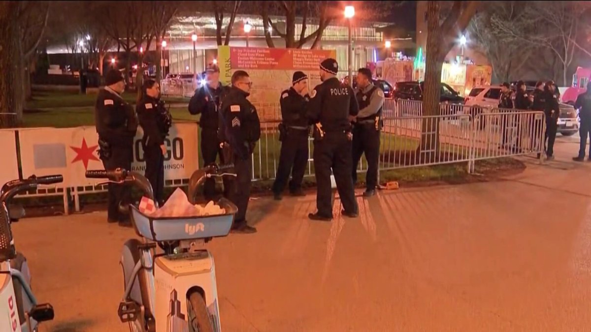 Dozen Chicago Police Patrol Millennium Park