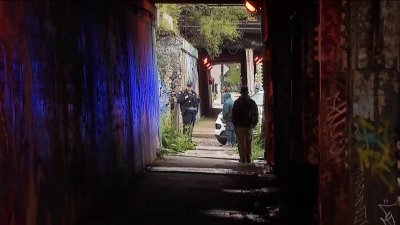 Mujer muere tras ser atacada a tiros en Pilsen