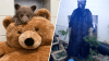 Osezno huérfano en California encuentra consuelo en un oso de peluche y cuidadores disfrazados