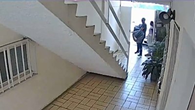 Tenía 13 días desaparecida: investigan posible feminicidio en Guanajuato