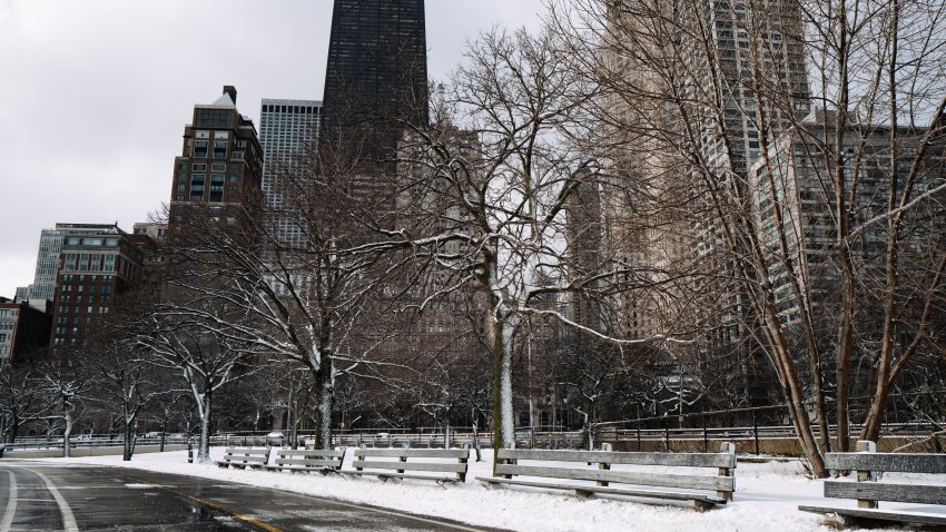 Foto de edificios y árboles con nieve.