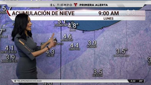 Chicago y condados de IL bajo aviso de tormenta invernal