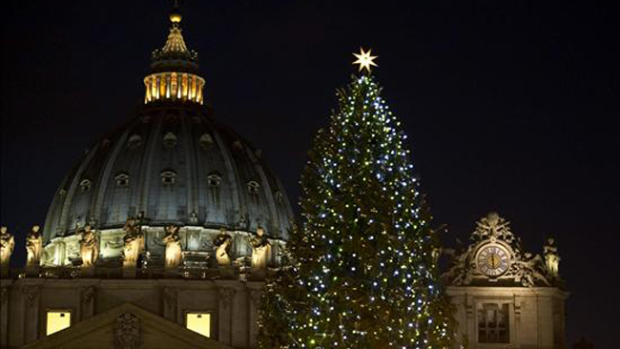Video: El Vaticano ya tiene arbolito de Navidad