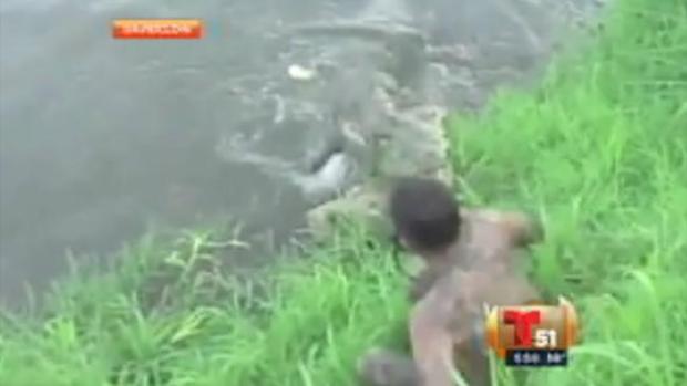Video: Atacado por cocodrilo hambriento