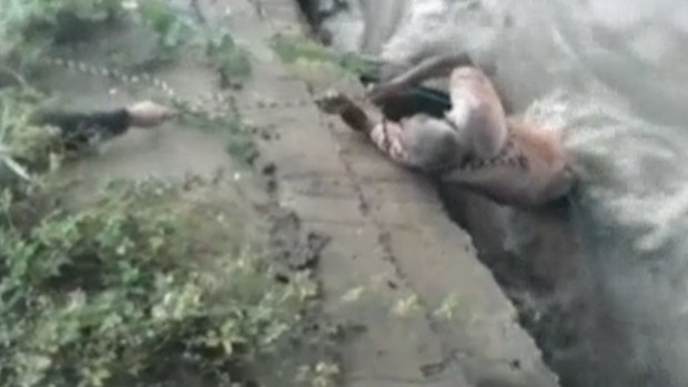 Video: Dramático rescate de anciano en video