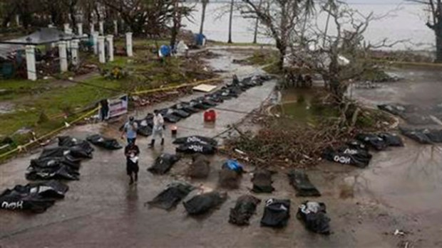 Video: Dos americanos entre muertos del tifón