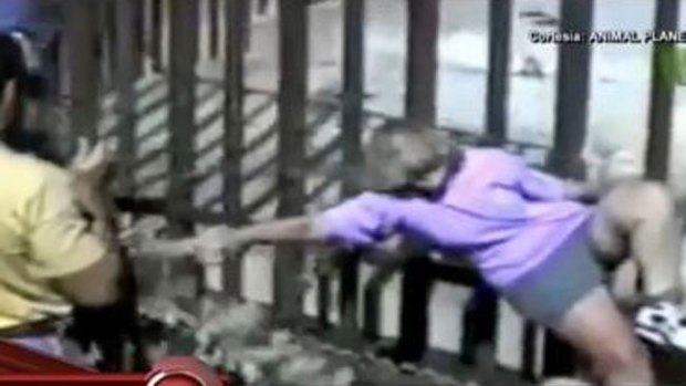 Video: Vacaciones que terminaron en horror