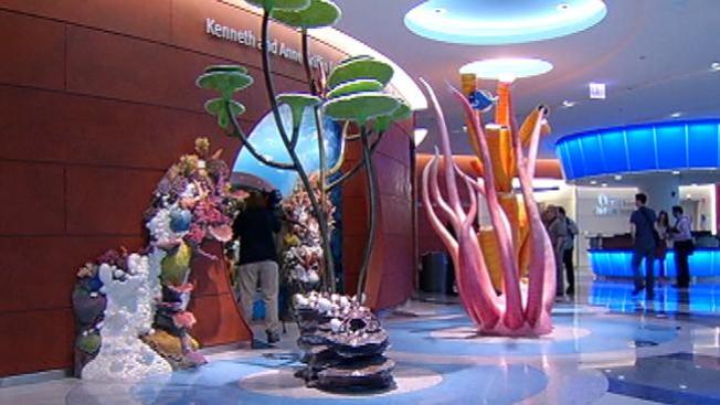 Gran apertura de hospital infantil