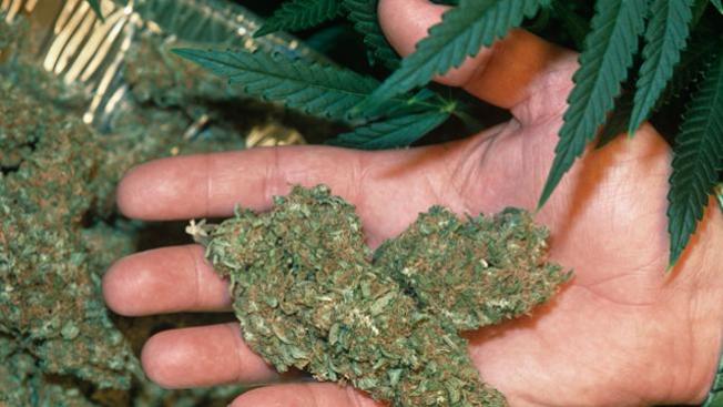 Evanston será ahora menos estricto con la marihuana