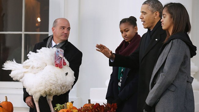 Obama indulta pavos en la Casa Blanca