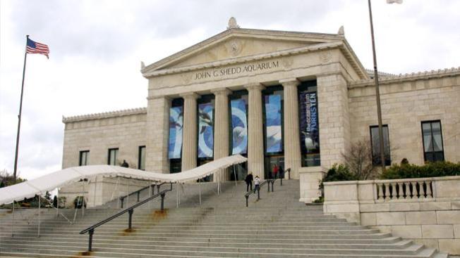 Cerrarán acuario, planetario y museos