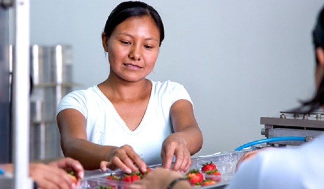 Programa 3x1 para Migrantes